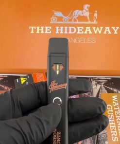 The hideaway disposable